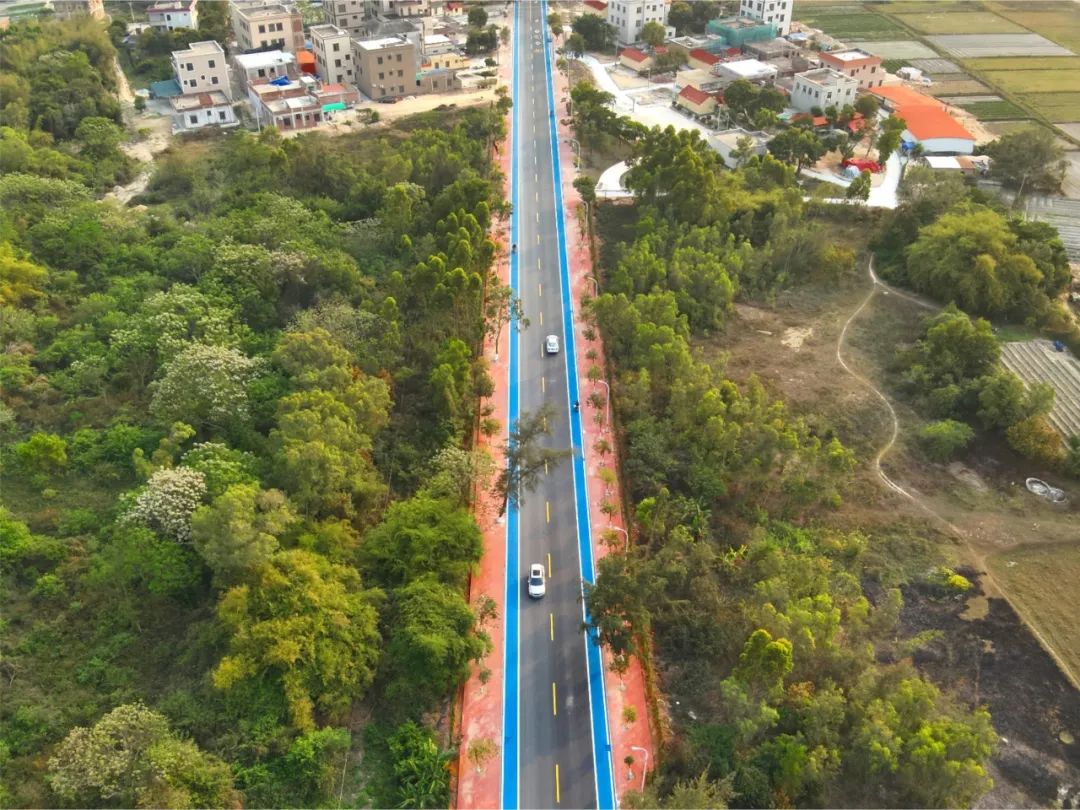 麻斜“风貌走廊”——麻坡路精品示范带建设成效鸟瞰图.JPG