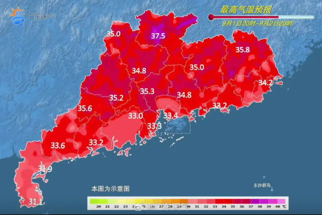 640.webp (1).png
