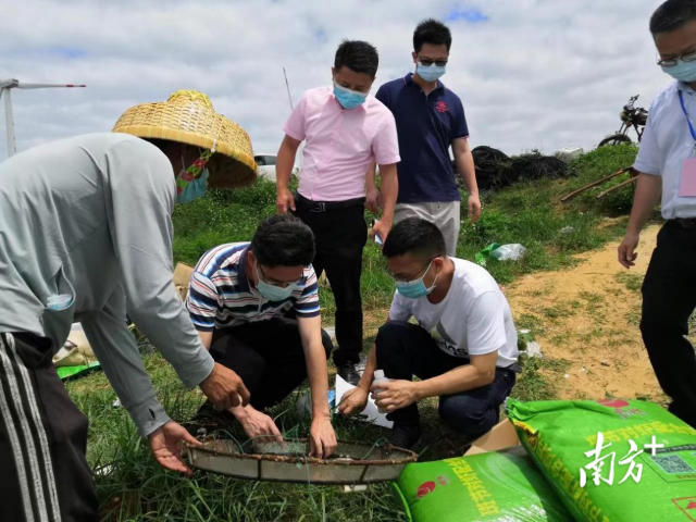 实地调研。  南方+记者 欧阳胜勇 拍摄